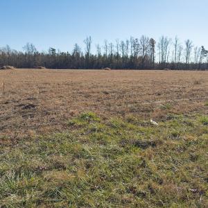 Photo #14 of SOLD property in Off Cherry Grove Road - Lot 18, Yanceyville, NC 1.1 acres