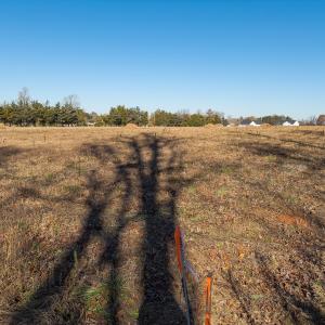 Photo #15 of SOLD property in Off Cherry Grove Road - Lot 20, Yanceyville, NC 1.1 acres