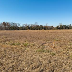 Photo #11 of SOLD property in Off Cherry Grove Road - Lot 22, Yanceyville, NC 1.1 acres