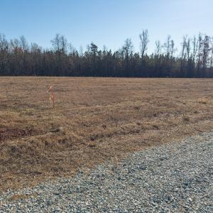 Photo #19 of SOLD property in Off Cherry Grove Road - Lot 22, Yanceyville, NC 1.1 acres