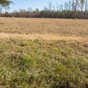 Photo #9 of SOLD property in Off Cherry Grove Road - Lot 19, Yanceyville, NC 1.2 acres