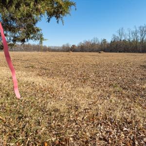 Photo #12 of SOLD property in Off Cherry Grove Road - Lot 19, Yanceyville, NC 1.2 acres
