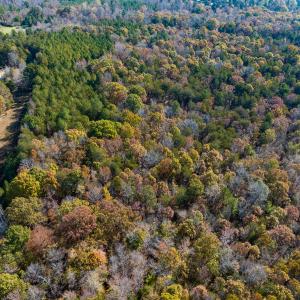Photo #5 of SOLD property in Off Mt. Willing Road, Mebane, NC 34.6 acres