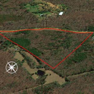 Photo #7 of SOLD property in Off Mt. Willing Road, Mebane, NC 34.6 acres