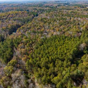 Photo #8 of SOLD property in Off Mt. Willing Road, Mebane, NC 34.6 acres