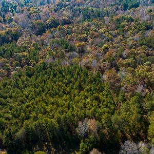 Photo #12 of SOLD property in Off Mt. Willing Road, Mebane, NC 34.6 acres