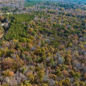 Photo #13 of SOLD property in Off Mt. Willing Road, Mebane, NC 34.6 acres