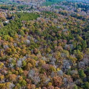 Photo #14 of SOLD property in Off Mt. Willing Road, Mebane, NC 34.6 acres