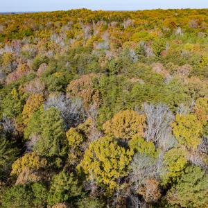 Photo #15 of SOLD property in Off Mt. Willing Road, Mebane, NC 34.6 acres