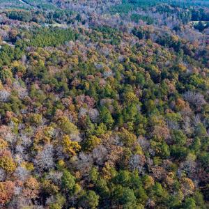 Photo #18 of SOLD property in Off Mt. Willing Road, Mebane, NC 34.6 acres