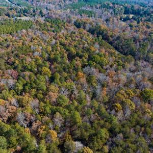 Photo #20 of SOLD property in Off Mt. Willing Road, Mebane, NC 34.6 acres