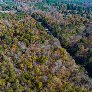 Photo #22 of SOLD property in Off Mt. Willing Road, Mebane, NC 34.6 acres