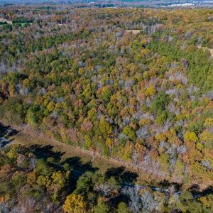 Photo #24 of SOLD property in Off Mt. Willing Road, Mebane, NC 34.6 acres