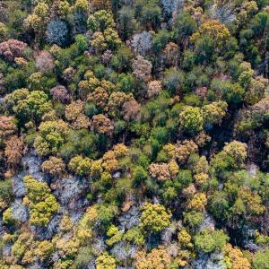 Photo #26 of SOLD property in Off Mt. Willing Road, Mebane, NC 34.6 acres