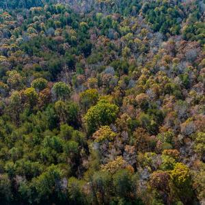 Photo #29 of SOLD property in Off Mt. Willing Road, Mebane, NC 34.6 acres