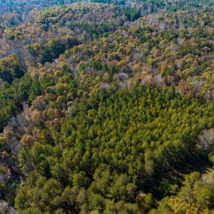 Photo #33 of SOLD property in Off Mt. Willing Road, Mebane, NC 34.6 acres