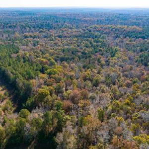 Photo #34 of SOLD property in Off Mt. Willing Road, Mebane, NC 34.6 acres