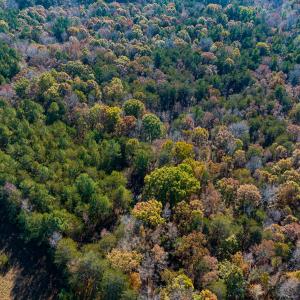 Photo #36 of SOLD property in Off Mt. Willing Road, Mebane, NC 34.6 acres