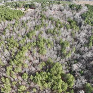 Photo #9 of SOLD property in Off Highway 58 , Warrenton, NC 12.6 acres