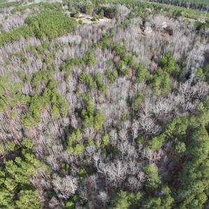 Photo #10 of SOLD property in Off Highway 58 , Warrenton, NC 12.6 acres