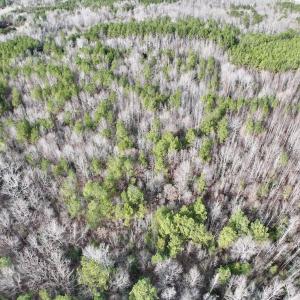 Photo #13 of SOLD property in Off Highway 58 , Warrenton, NC 12.6 acres