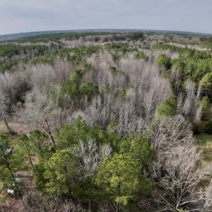 Photo #17 of SOLD property in Off Highway 58 , Warrenton, NC 12.6 acres