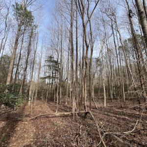 Photo #20 of SOLD property in Off Highway 58 , Warrenton, NC 12.6 acres