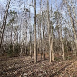 Photo #23 of SOLD property in Off Highway 58 , Warrenton, NC 12.6 acres