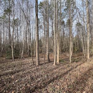 Photo #24 of SOLD property in Off Highway 58 , Warrenton, NC 12.6 acres