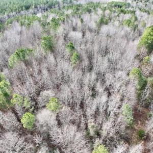 Photo #3 of SOLD property in Off Highway 58 , Warrenton, NC 12.6 acres