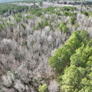 Photo #4 of SOLD property in Off Highway 58 , Warrenton, NC 12.6 acres