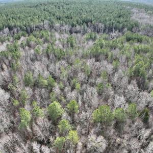 Photo #6 of SOLD property in Off Highway 58 , Warrenton, NC 12.6 acres