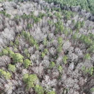 Photo #7 of SOLD property in Off Highway 58 , Warrenton, NC 12.6 acres