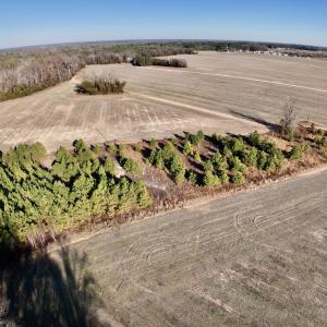 Photo #9 of SOLD property in Off Mary F. Lane, Snow Hill, NC 5.0 acres
