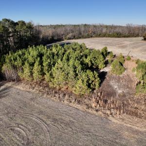 Photo #10 of SOLD property in Off Mary F. Lane, Snow Hill, NC 5.0 acres