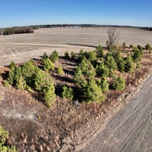 Photo #11 of SOLD property in Off Mary F. Lane, Snow Hill, NC 5.0 acres