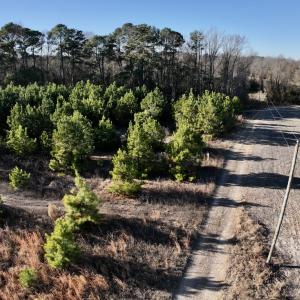 Photo #13 of SOLD property in Off Mary F. Lane, Snow Hill, NC 5.0 acres