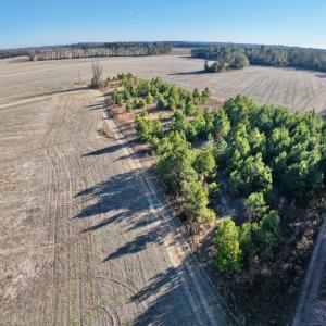 Photo #2 of SOLD property in Off Mary F. Lane, Snow Hill, NC 5.0 acres