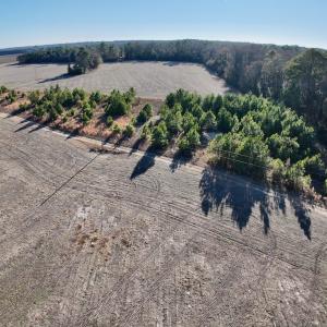 Photo #3 of SOLD property in Off Mary F. Lane, Snow Hill, NC 5.0 acres