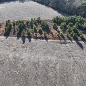 Photo #4 of SOLD property in Off Mary F. Lane, Snow Hill, NC 5.0 acres
