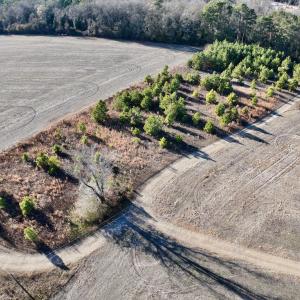 Photo #5 of SOLD property in Off Mary F. Lane, Snow Hill, NC 5.0 acres