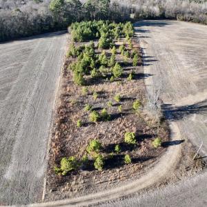 Photo #6 of SOLD property in Off Mary F. Lane, Snow Hill, NC 5.0 acres