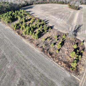 Photo #7 of SOLD property in Off Mary F. Lane, Snow Hill, NC 5.0 acres