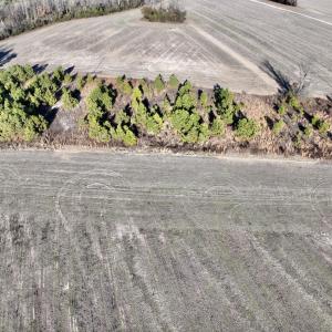 Photo #8 of SOLD property in Off Mary F. Lane, Snow Hill, NC 5.0 acres
