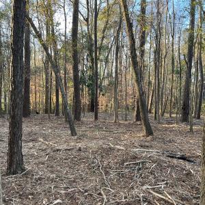 Photo #12 of SOLD property in NC Hwy 87 E, Council, NC 2.7 acres