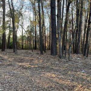 Photo #13 of SOLD property in NC Hwy 87 E, Council, NC 2.7 acres