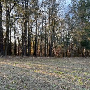 Photo #15 of SOLD property in NC Hwy 87 E, Council, NC 2.7 acres