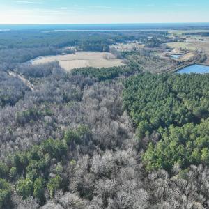 Photo #11 of SOLD property in 316 Cedar Landing Rd, Windsor, NC 88.0 acres