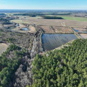 Photo #12 of SOLD property in 316 Cedar Landing Rd, Windsor, NC 88.0 acres