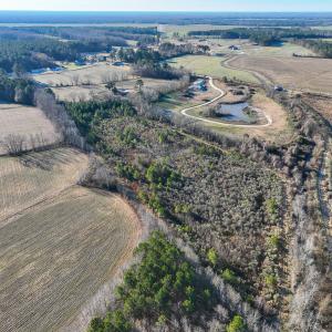 Photo #13 of SOLD property in 316 Cedar Landing Rd, Windsor, NC 88.0 acres